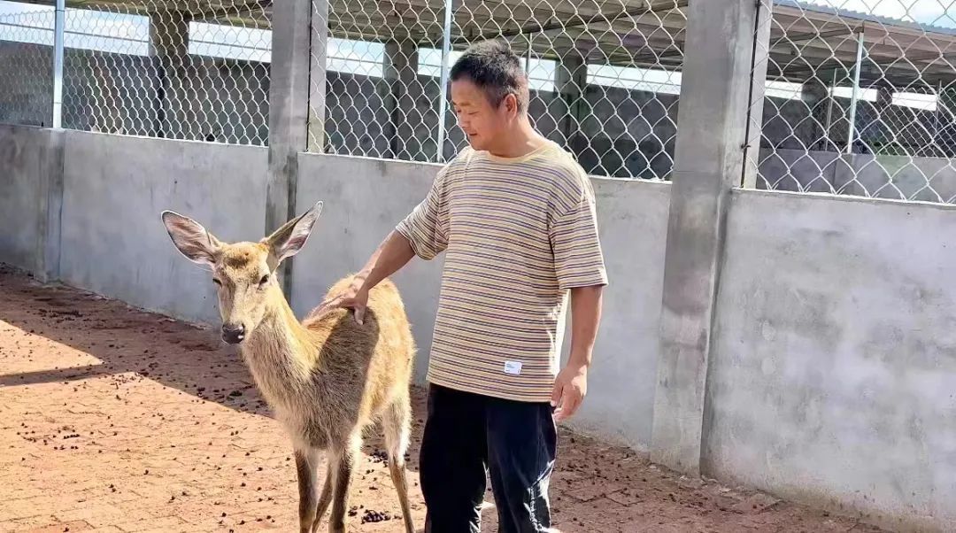 星际国际平台网址多少
